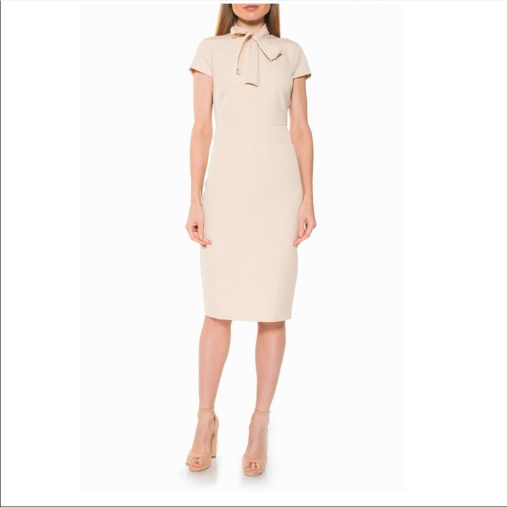 Alexia Admor Neck Tie Cap Sleeve Sheath Dress 2